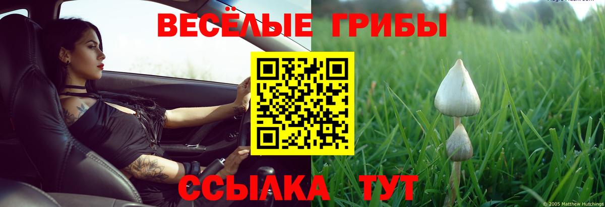 Псилоцибиновые грибы мицелий  Вход с VPN  Балашиха 